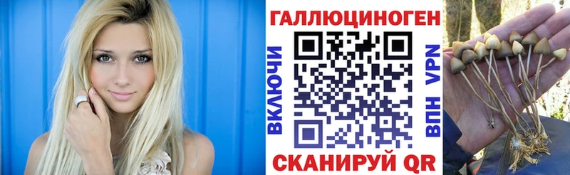 Галлюциногенные грибы Psilocybine cubensis гидра Кизляр что такое наркотик